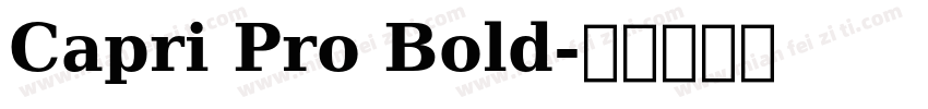 Capri Pro Bold字体转换